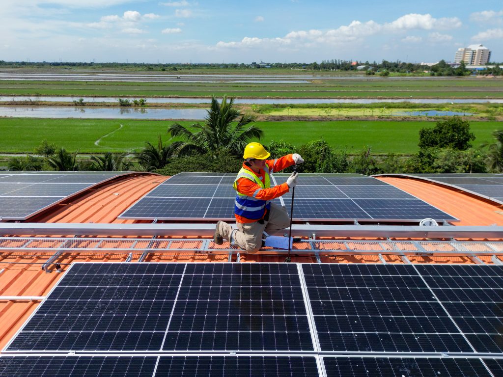engineer solar cell panel
